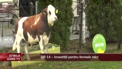 Bull Parade, 24th Edition – Sângeorgiu de Mureș 10/01/2026