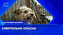 Карантин по бешенству ввели в Бурятии | «Восточный экспресс» | новости Улан-Удэ