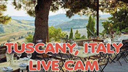 Tuscany - Podere Il Casale - Vineyard and Restaurant